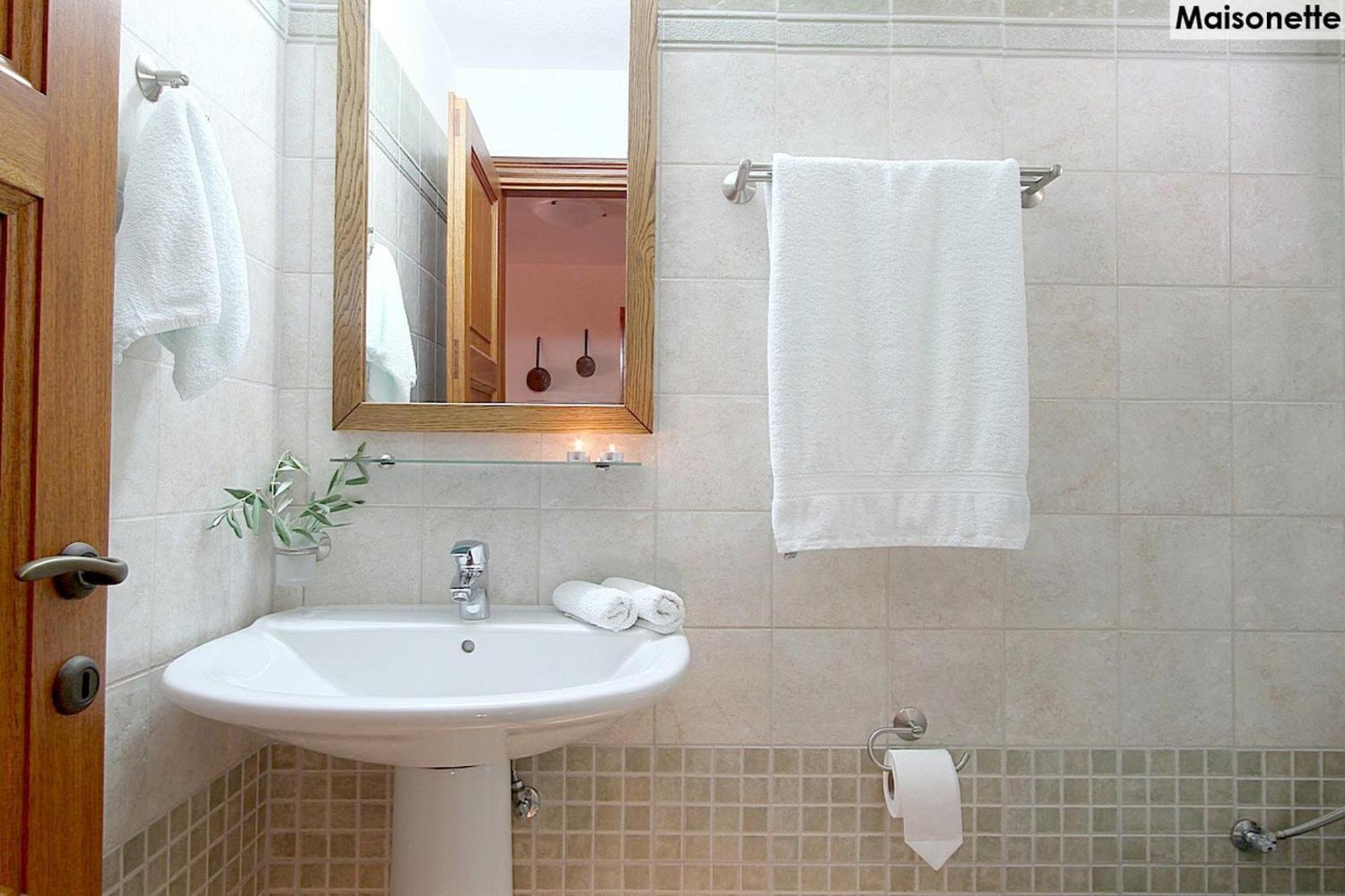 Agnontas Althea Accommodation חדר תמונה